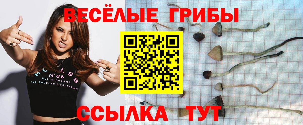 Галлюциногенные грибы прущие грибы Ленинск-Кузнецкий
