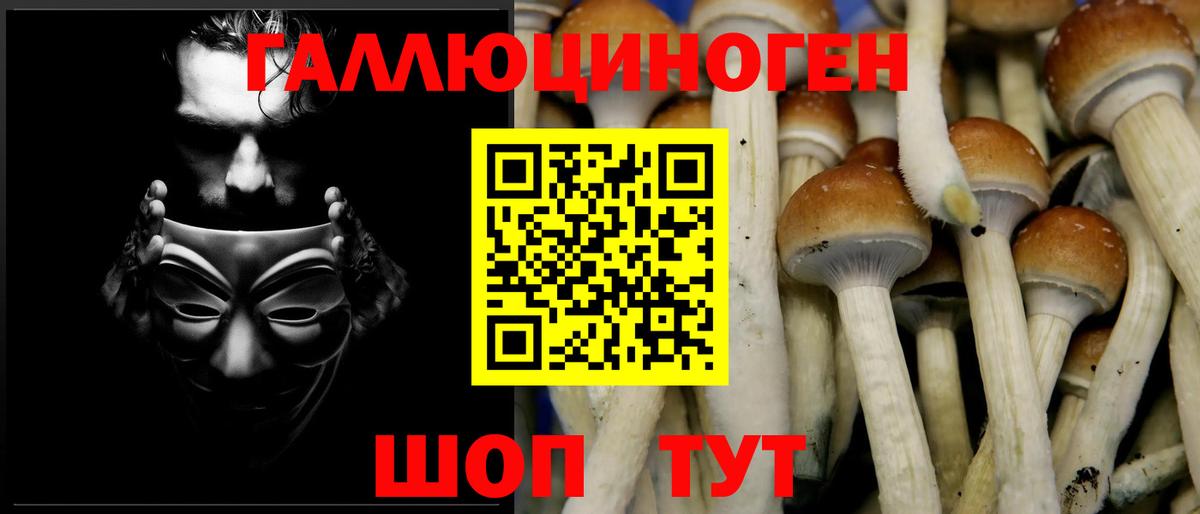 Ленинск-Кузнецкий  Галлюциногенные грибы GOLDEN TEACHER  Вход с VPN 